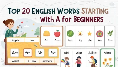 Top 20 English Words Starting with A for Beginners